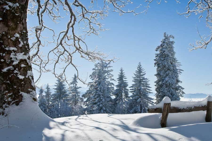 2026世界杯下注-中国乒乓球队世锦赛再夺男女单打冠军